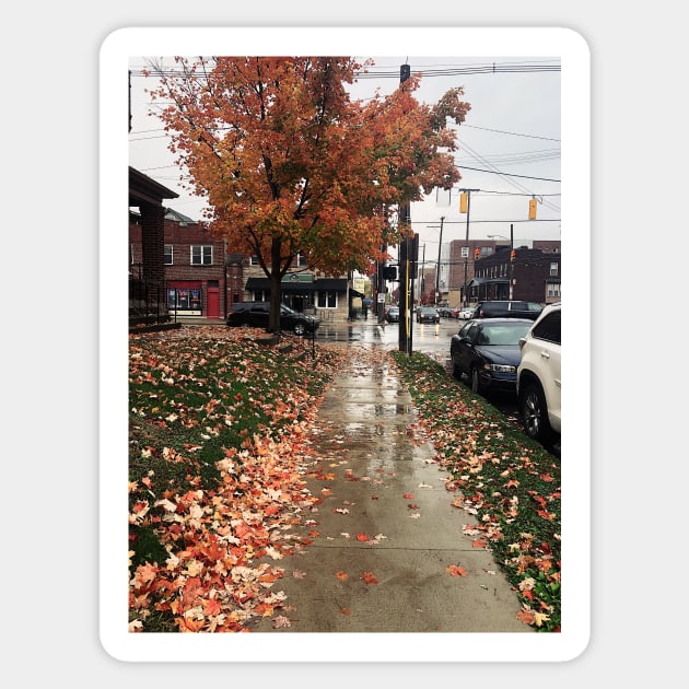 Rainy Autumn Day in Columbus, Ohio Sticker by offdutyplaces